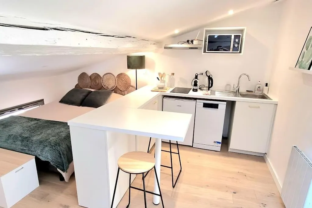 Apartament Cocon Sous Les Toits - Metro Jeanne D'Arc - Gare Tuluza Francja